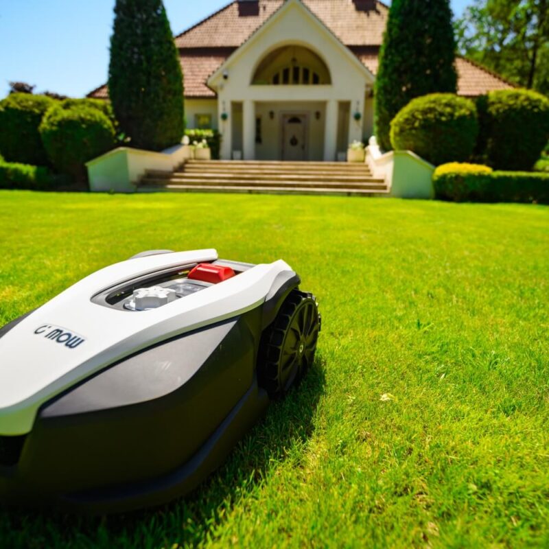 ROBOT KOSZĄCY CEDRUS M12 C-MOW M12
